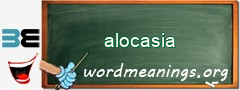 WordMeaning blackboard for alocasia